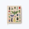 Cuaderno de bocetos bordado Curio - Rifle Paper Co.