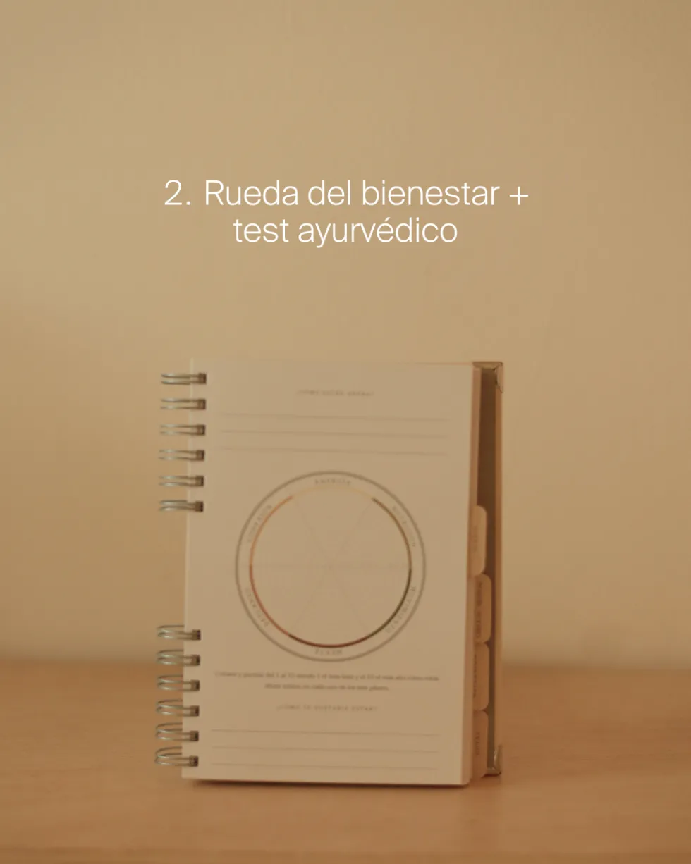 Diario del Bienestar · L&C