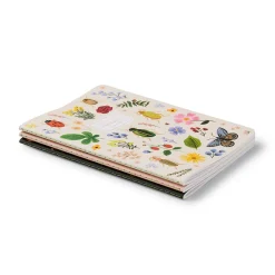 Pack 3 libretas cosidas Curio - Rifle Paper