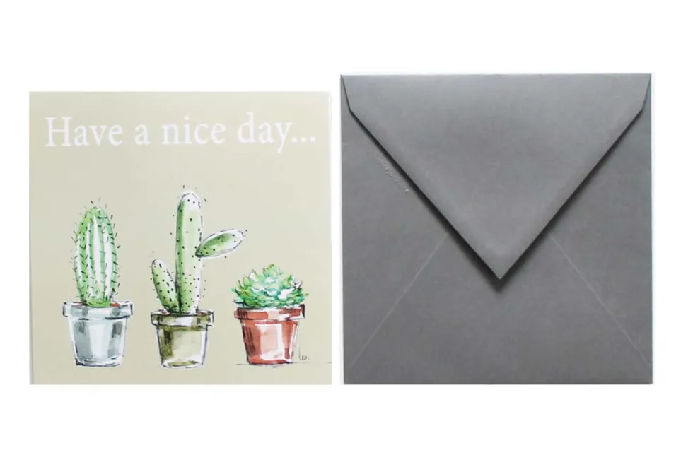Postal Have a nice day... Cactus