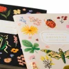 Set de 2 libretas de bolsillo Curio - Rifle Paper