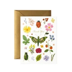 Tarjeta Postal Agradecimiento Curio - Rifle Paper